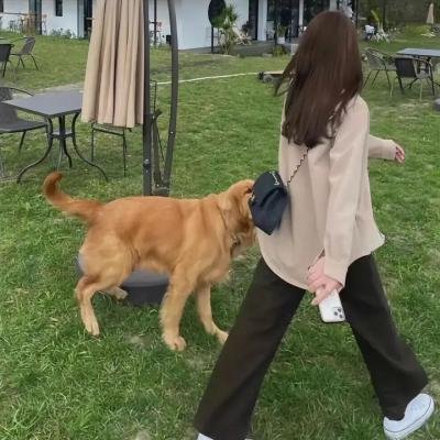 我家有喜